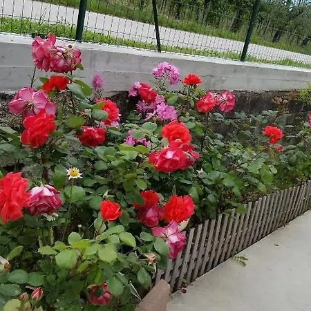 Holiday home Casa Liliana -via Valentini 321-frazione Tucci Villa Tucci