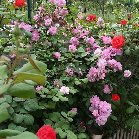 Casa Liliana -via Valentini 321-frazione Tucci Villa Tucci